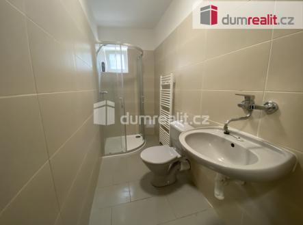 4 | Pronájem bytu, 1+kk, 16 m²