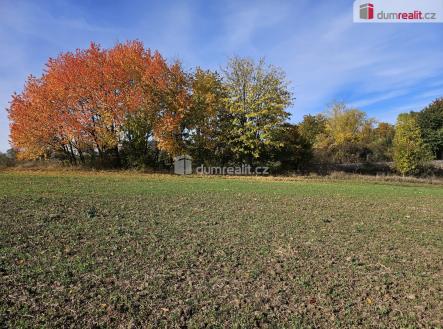 1 | Prodej - pozemek, zemědělská půda, 3 121 m²