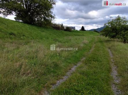 2 | Prodej - pozemek pro bydlení, 3 000 m²