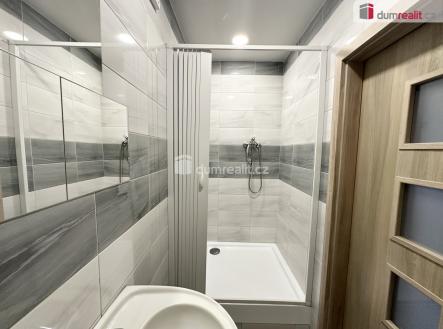 3 | Pronájem bytu, 1+1, 53 m²