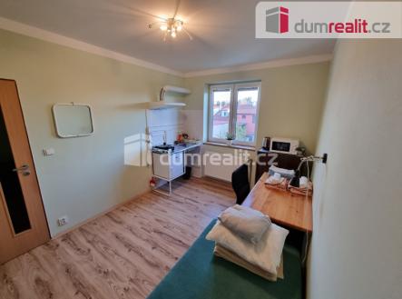 1 | Pronájem bytu, 1+kk, 12 m²