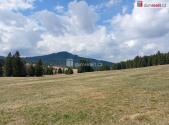 Prodej - pozemek, trvalý travní porost, 1 321 m²