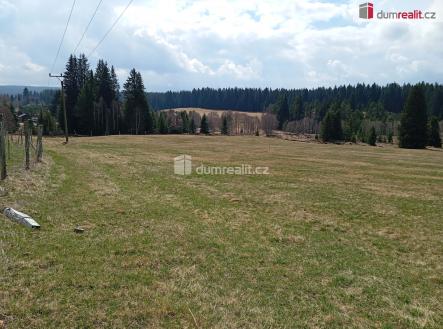 2 | Prodej - pozemek, trvalý travní porost, 1 321 m²