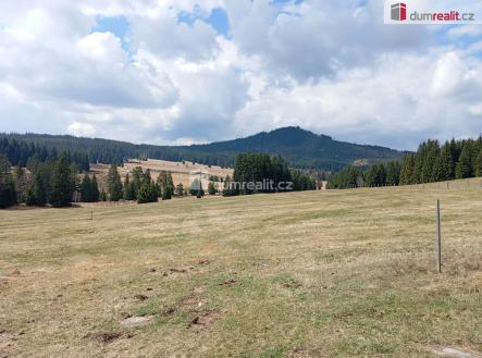 3 | Prodej - pozemek, trvalý travní porost, 1 321 m²