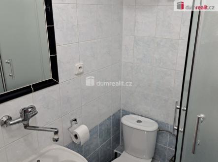 4 | Pronájem bytu, 1+kk, 20 m²