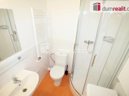 5 | Pronájem bytu, 1+kk, 25 m²