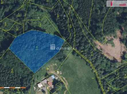 1 | Prodej - pozemek, les, 4 773 m²