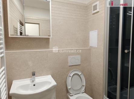 5 | Pronájem bytu, 1+kk, 30 m²