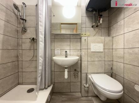 4 | Pronájem bytu, 1+1, 30 m²