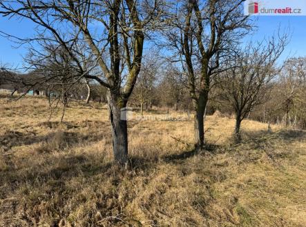 3 | Prodej - pozemek, zahrada, 668 m²