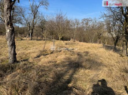 4 | Prodej - pozemek, zahrada, 668 m²