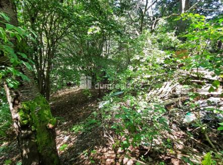 pozemek | Prodej - pozemek pro bydlení, 5 544 m²