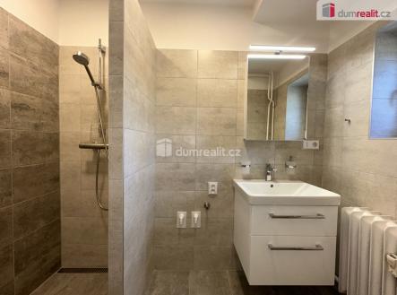 3 | Pronájem bytu, 1+kk, 25 m²