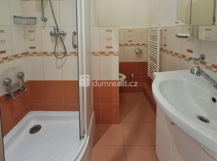 2 | Pronájem bytu, 2+1, 48 m²