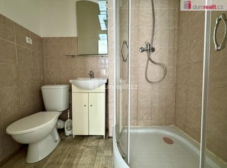 3 | Pronájem bytu, 1+1, 55 m²