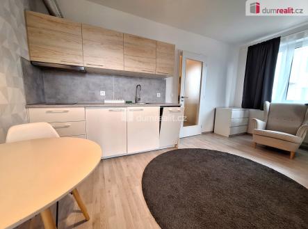 1 | Pronájem bytu, 1+kk, 33 m²