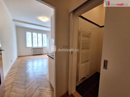 3 | Pronájem bytu, 1+kk, 28 m²