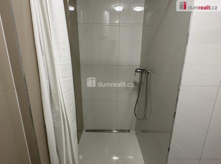 4 | Pronájem bytu, jiný, 14 m²