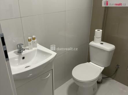 4 | Pronájem bytu, jiný, 14 m²