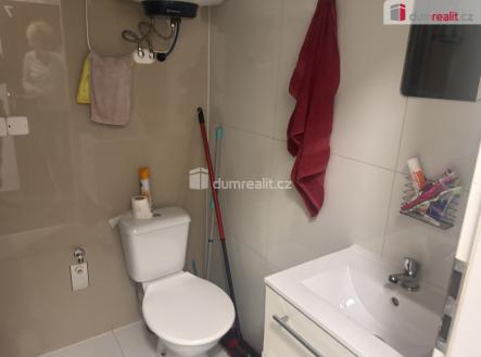 6 | Pronájem bytu, 1+kk, 14 m²