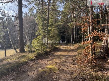 2 | Prodej - pozemek, les, 11 340 m²