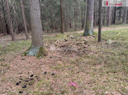 4 | Prodej - pozemek, les, 11 340 m²
