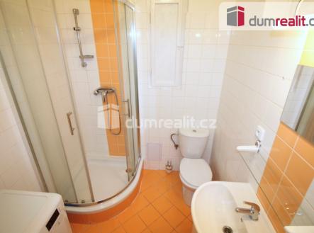 4 | Pronájem bytu, 1+kk, 25 m²