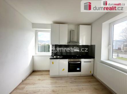 1 | Pronájem bytu, 1+1, 48 m²