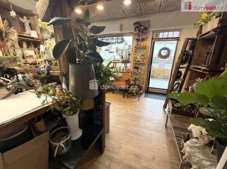 3 | Pronájem - obchodní prostor, 23 m²