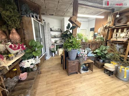 4 | Pronájem - obchodní prostor, 23 m²