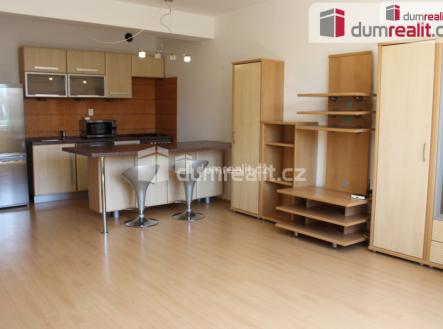 4 | Pronájem bytu, 1+kk, 45 m²