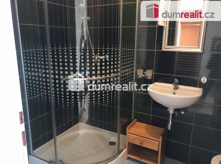 3 | Pronájem bytu, 1+1, 55 m²