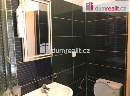 4 | Pronájem bytu, 1+1, 55 m²