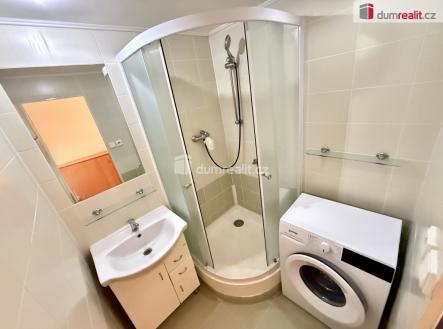 2 | Pronájem bytu, 1+1, 43 m²