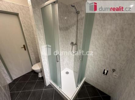 3 | Pronájem bytu, 1+1, 40 m²