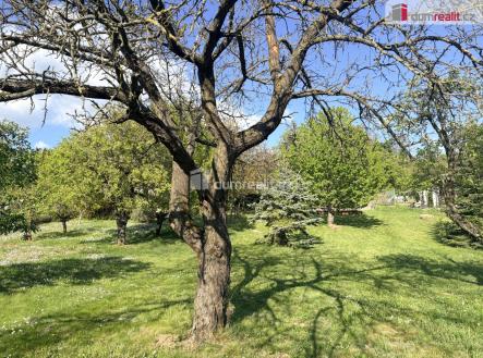 3 | Prodej - pozemek, zahrada, 888 m²