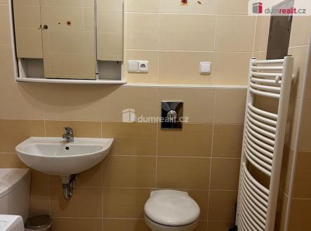 4 | Pronájem bytu, 1+kk, 26 m²