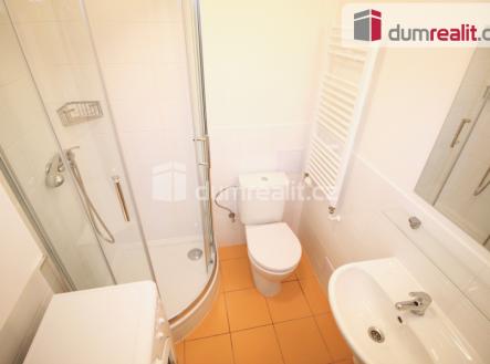 4 | Pronájem bytu, 1+kk, 25 m²