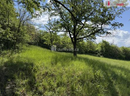 1 | Prodej - pozemek, trvalý travní porost, 5 056 m²