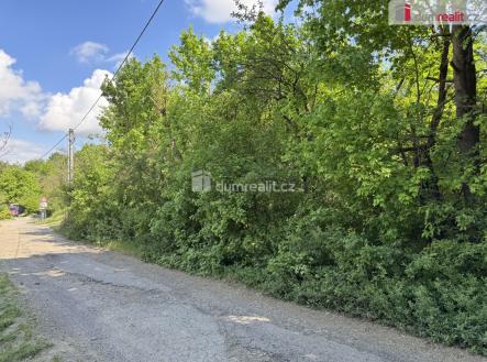 2 | Prodej - pozemek, trvalý travní porost, 5 056 m²