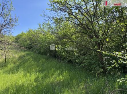 3 | Prodej - pozemek, trvalý travní porost, 5 056 m²