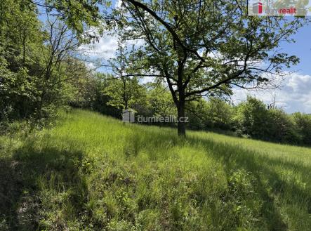 4 | Prodej - pozemek, trvalý travní porost, 5 056 m²