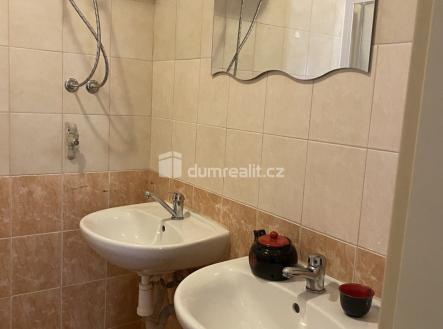 4 | Pronájem bytu, 1+kk, 15 m²