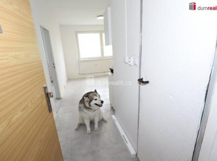 4 | Pronájem bytu, 1+1, 36 m²