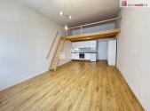 Pronájem bytu, 1+kk, 48 m²