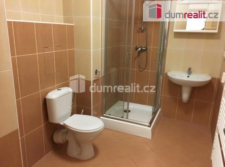 4 | Pronájem bytu, 1+kk, 43 m²