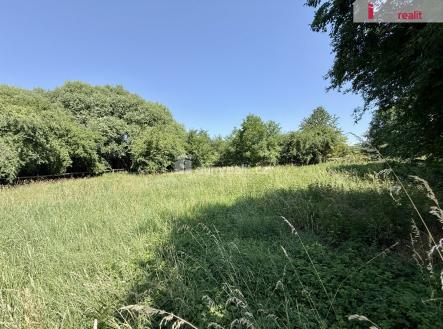1 | Pronájem - pozemek, zahrada, 5 135 m²
