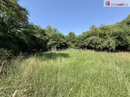 4 | Pronájem - pozemek, zahrada, 5 135 m²