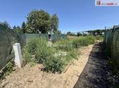 Prodej - pozemek, zahrada, 184 m²