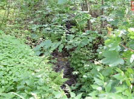 dsc-0002.jpg | Prodej - pozemek, ostatní, 4 584 m²